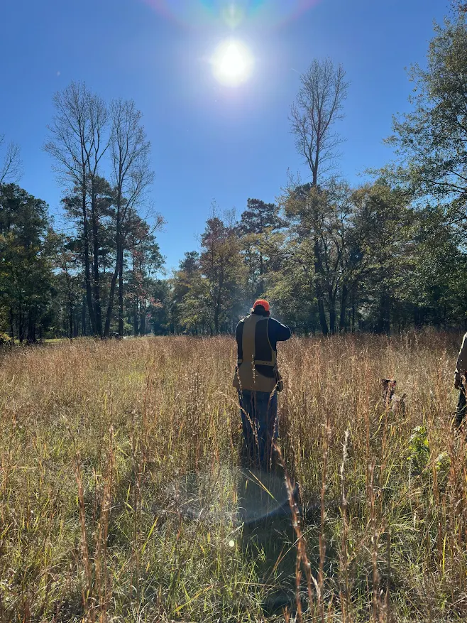 Quail Hunts in Houston – A True Upland Tradition