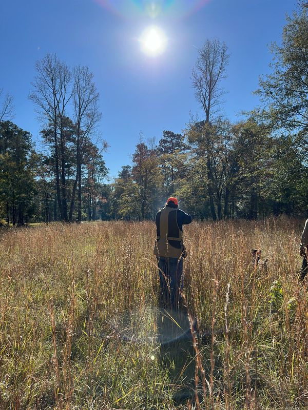 Sporting Clays for Every Skill Level