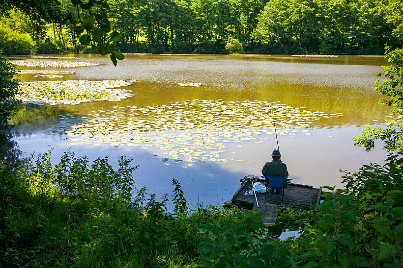 Guided Hunting Trips Designed Around Your Goals