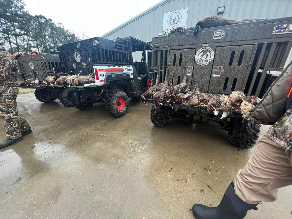 Choose Your Hunting Adventure